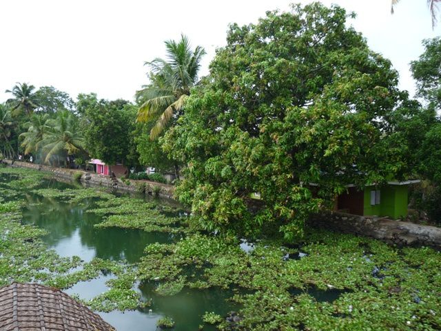 Album - INDE (Kerala Backwaters 1)