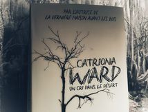 Un cri dans le désert 