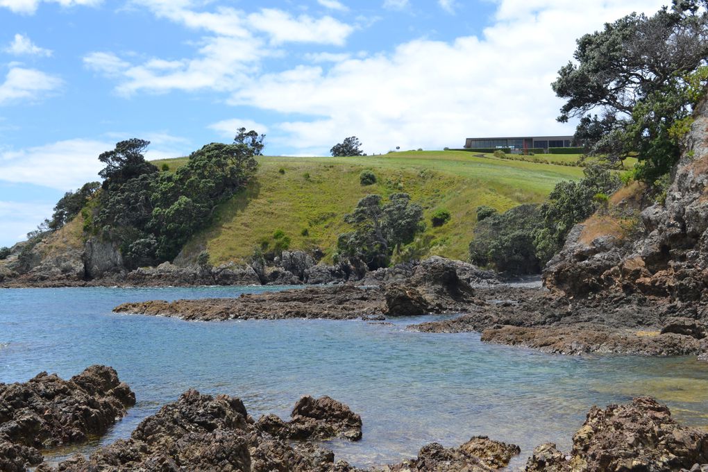 Album - Waiheke-island