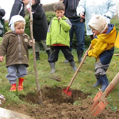 Nous avons planté un arbre.