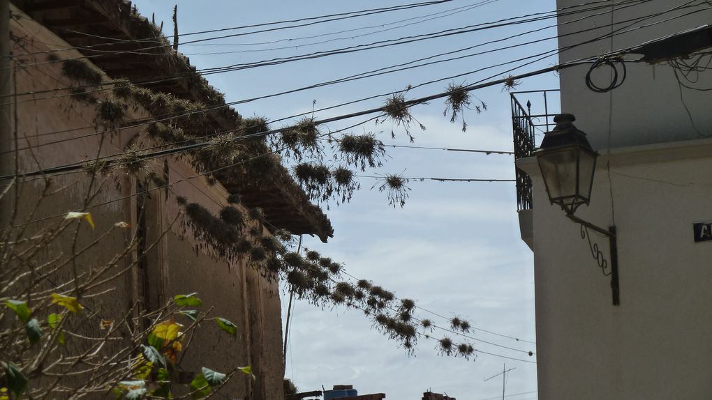 Album - Cochabamba