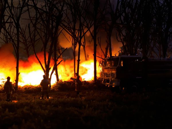 Diorama FEU DE FORET au 1/43 ème 