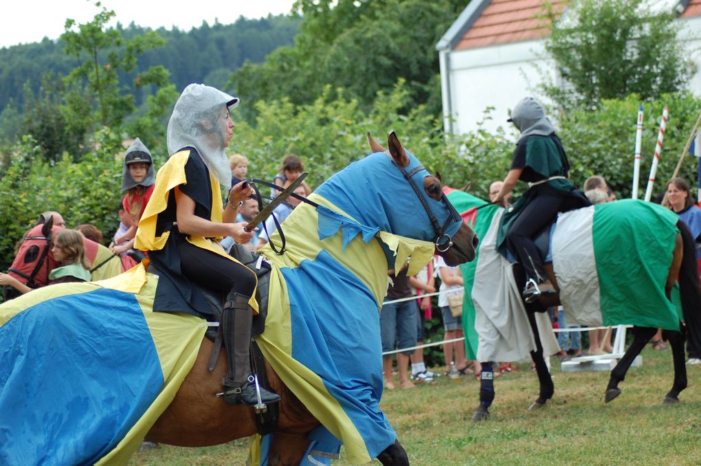 18.07.2010 Obergrombach
Burgfest mit mittelalterlichen Ritterspielen