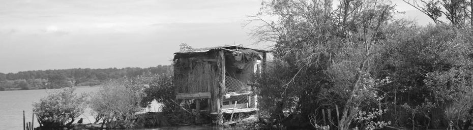 Week-end dans un petit paradis à Parentis en Born dans les Landes