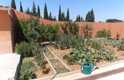 Le jardin après les plantation de mai