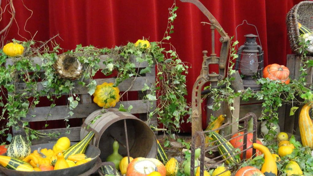 9 octobre 2016 : Saint-Berthevin