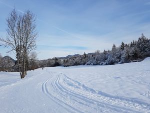 Beau paysage de neige à Brénod