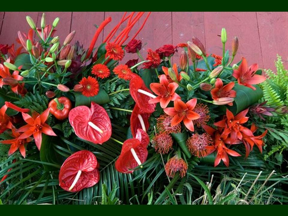 Hollande - seconde partie des marchés flottant