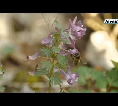 Bonne soirée à tous...c'est pas encore le top pour moi à l'ordi 