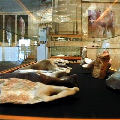 KARASTAN/d -Trésor de garrigue © -545/1001