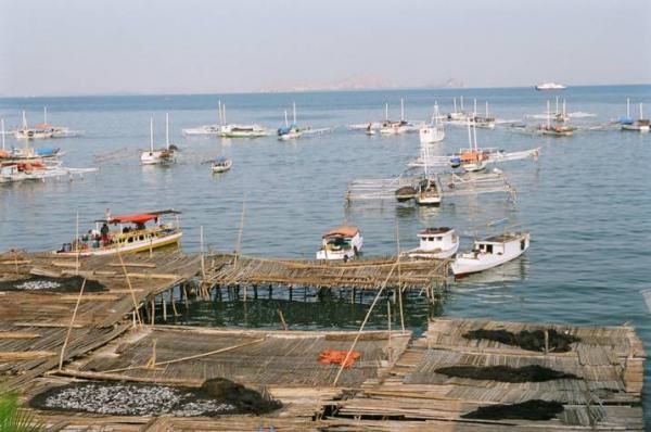 <strong>Ferry entre Flores et Sumbawa ainsi que LabuhanBajo a L'ouest de Flores</strong>