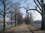 L'île aux Cygnes, Paris 15ème