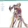 3D anatomie