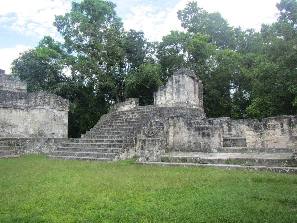 L'île de Florès et la cité de Tikal