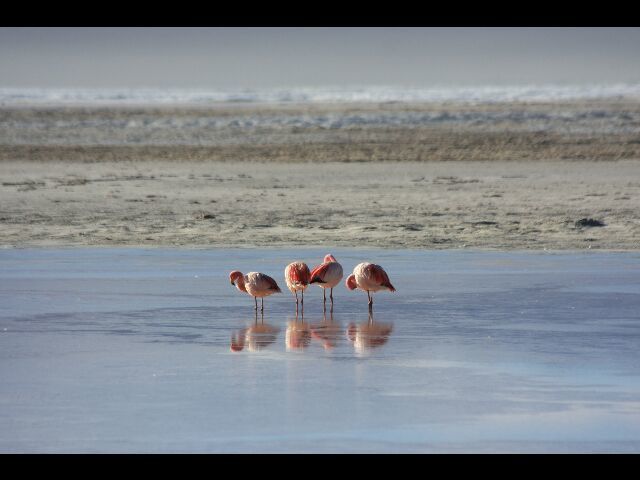 Album - TRIP-4-4-TUPIZA-UYUNI