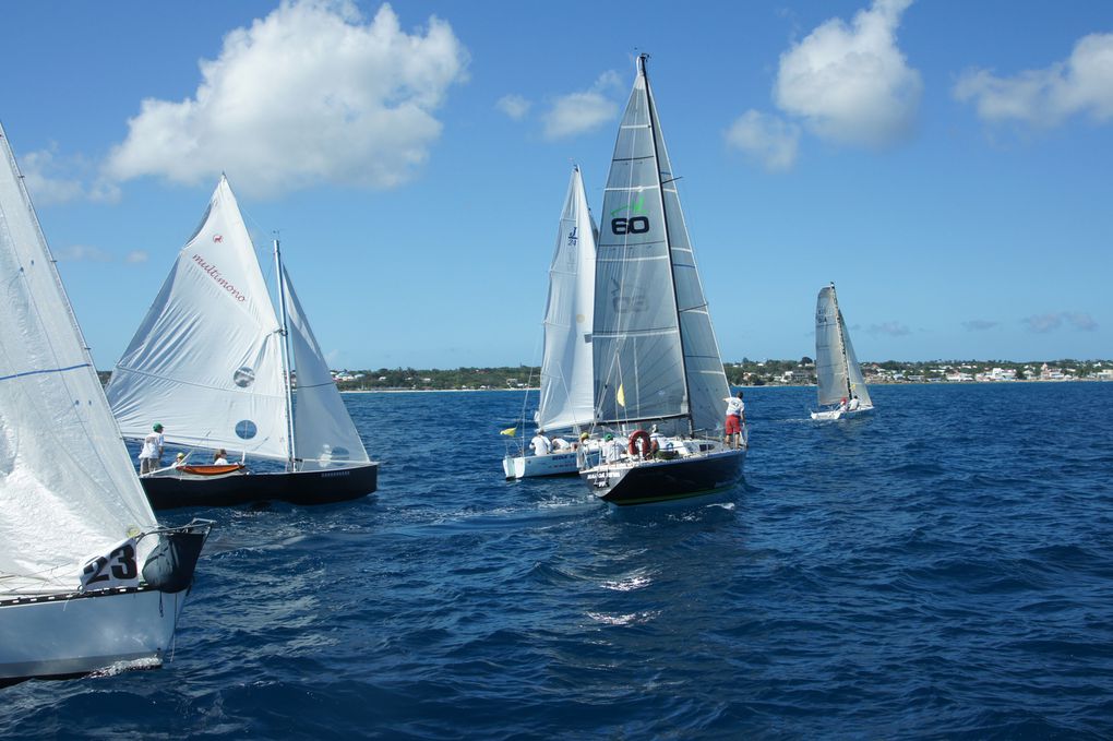 Album - Trophee-Open-Voile-de-St-Francois-2011-2