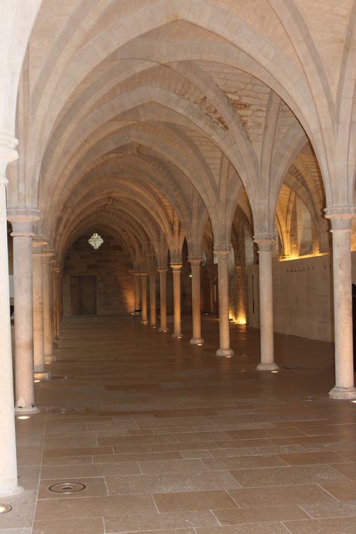 Visite du Collège des Bernardins et la Sorbonne Février 2012