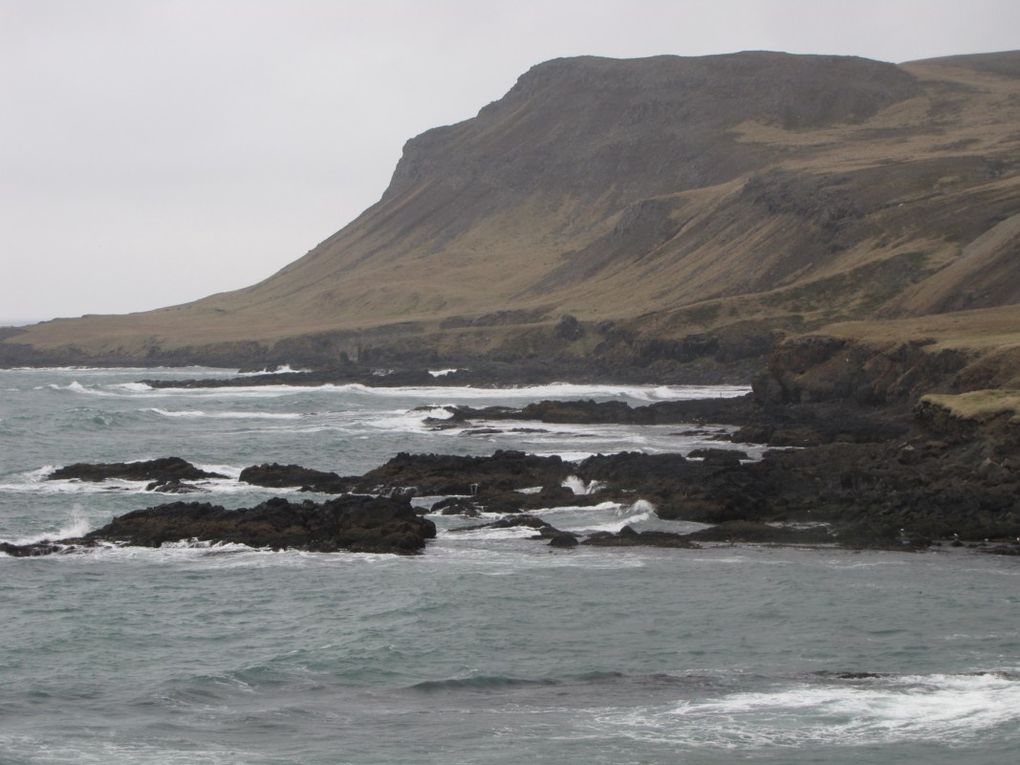 Album - 13----ISLANDE---la-peche-dans-les-fjords-d-l-est