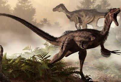 Un spécimen de dinosaure extrêmement rare a été découvert en Australie