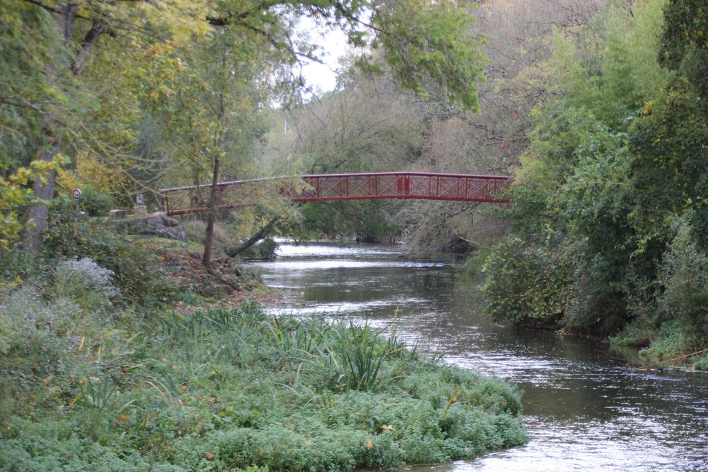 En vrac Octobre 2021 autour de la Loire : Azay le Rideau / Chinon / Château du Riveau