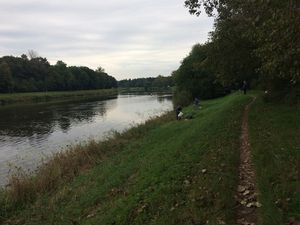 Beaucoup d'activités sportives au bord de l'eau, allant de la pêche au dressage, en passant par l'aviron, le roller, le jogging, le vélo bien sûr !