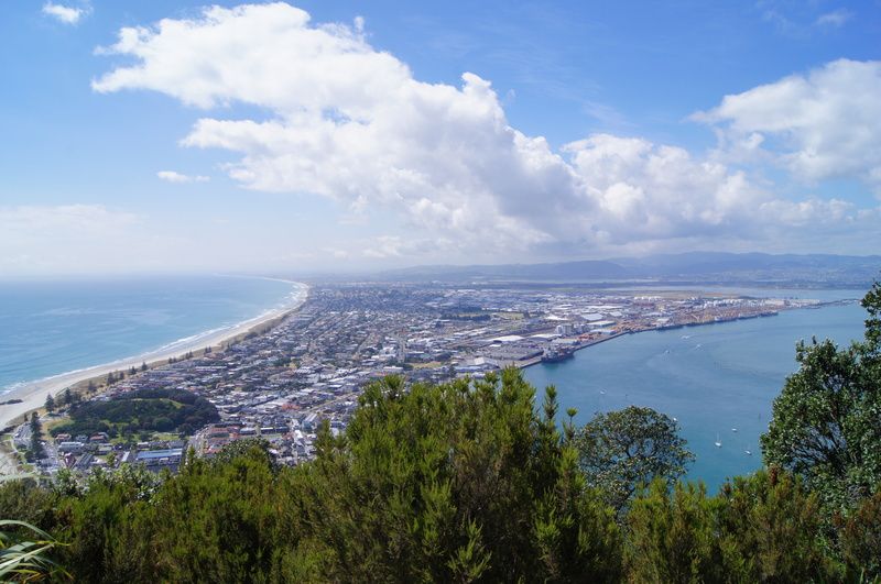 KM 4 981 TAURANGA 2