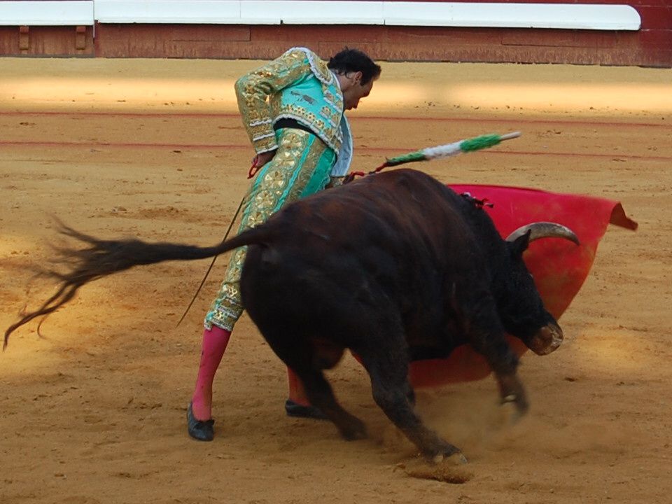 Album - Dax - Corrida du 16 août 2009