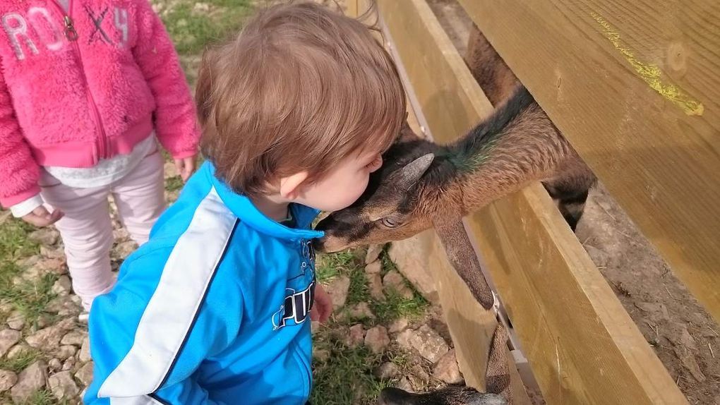 Visite à la Ferme de l'Hort