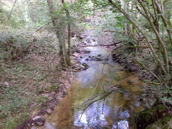 Quelques photos de paysage le long du parcours