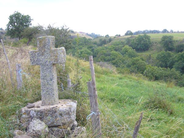 Du Puy à Nasbinals,en pierre, en bois, en fer forgé..., les croix nous rappellent que des millions de pélerins ont suivi ce sentier...