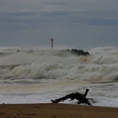 Anglet