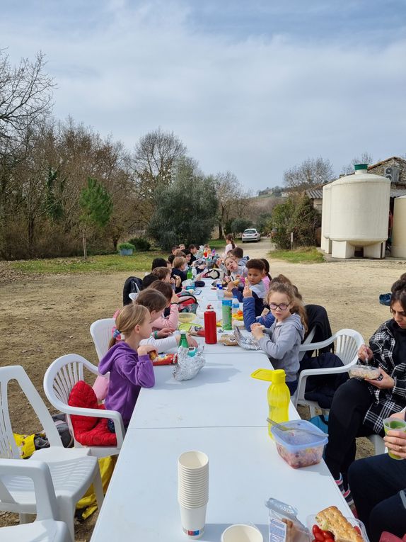 Les apprentis des vignes 