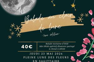 Jeudi 23 mai : Une balade à cheval sous la lune dans les collines ça vous tente?