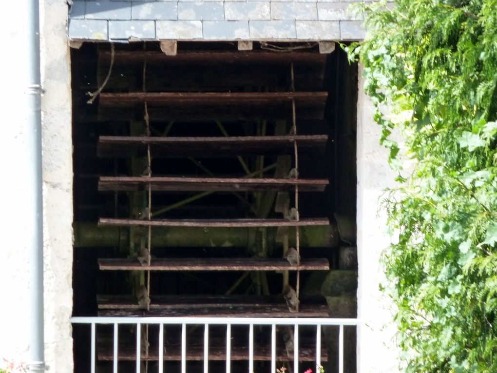 Suèvres est une ville de France, située dans le département Loir-et-Cher, de la région Centre.
Les habitants de Suèvres sont appelés les Sodobriens, Sodobriennes.
Les 1464 habitants de la commune vivent sur une superficie de 37 km² avec une de