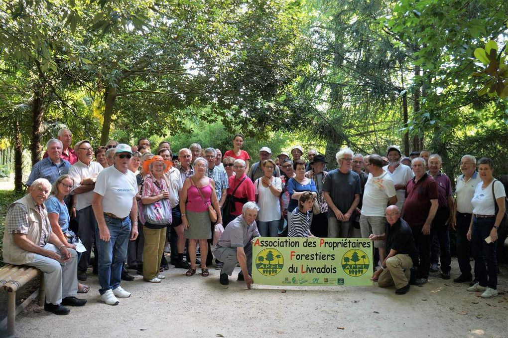 29 juin 2018 visite au Mt Aigoual et bambouseraie d'Anduze.