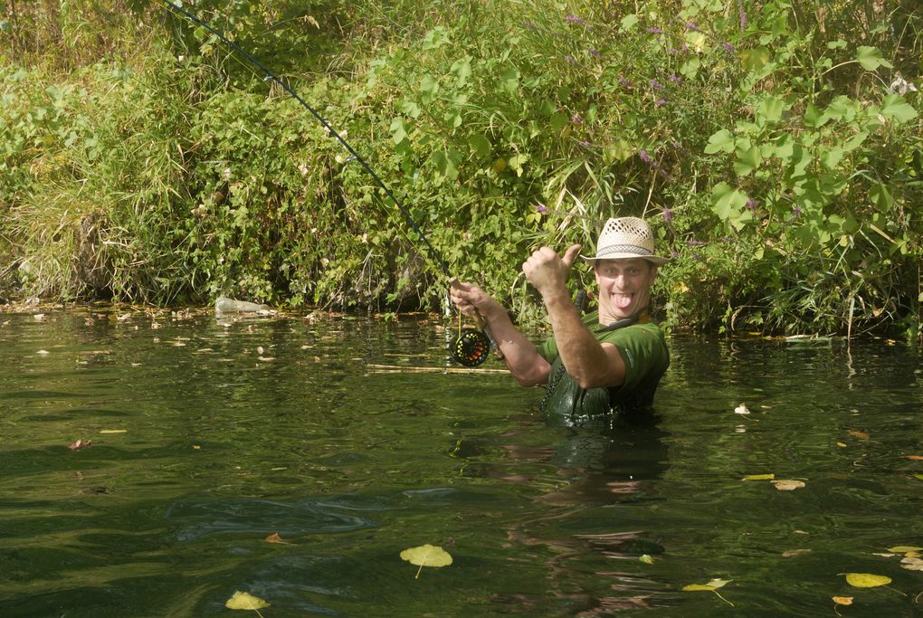 Une série de photos de carpes prise a la mouche