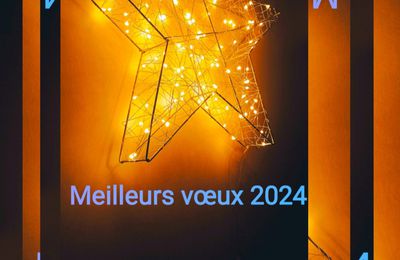 VOEUX 2024