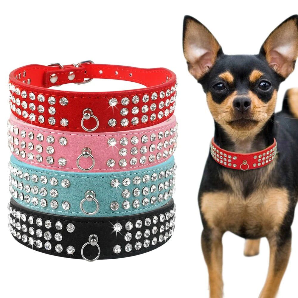 Dog Collar Leather