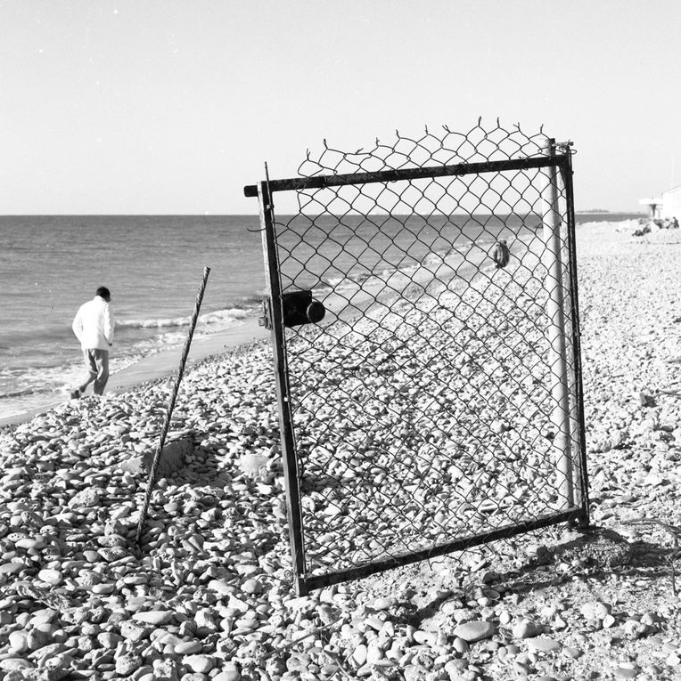 Au coeur de l'hiver, ou d'un printemps pluvieux,  alors que l'espace reste silencieux et humide, que la lumière traine au lit, les oiseaux de mer partent en vacances. Devant l'écran du ciel, ils s'imaginent dans un cinéma de plein air, et se racontent des histoires. Les oiseaux de mer, chez nous, ne s'en vont pas très loin, ils rêvassent plutôt, la haut, la haut... les vacances des oiseaux.