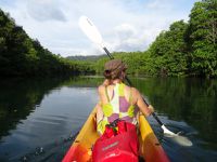 - Récolte de caoutchouc - Kayak sur la rivière bordée de mangroves - Crevettes séchées au soleil - Cascade du Klang Chao - L'improbable crêpe au chocapic ! - 