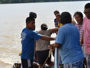 Pantanal nord (Brésil en camping-car)