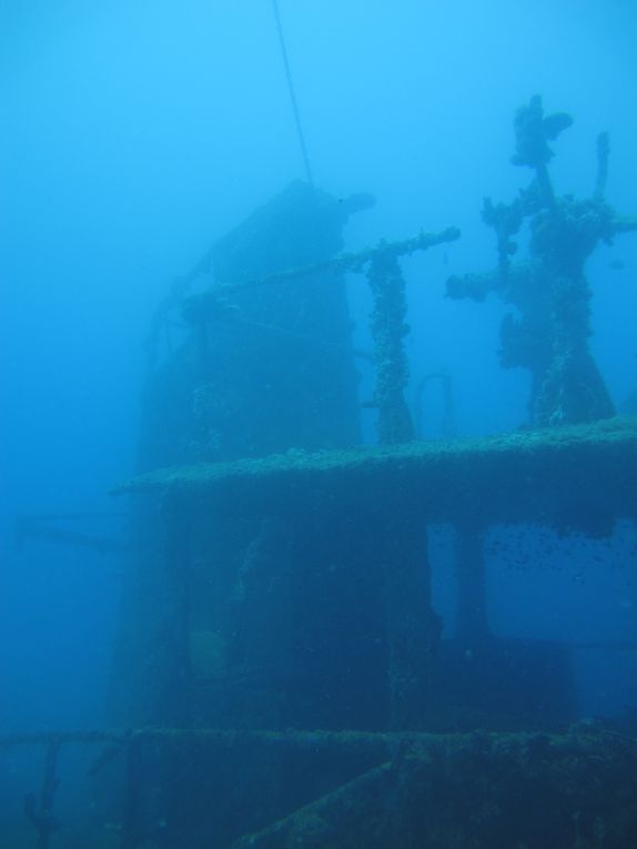 Quelques images subaquatiques de Djibouti