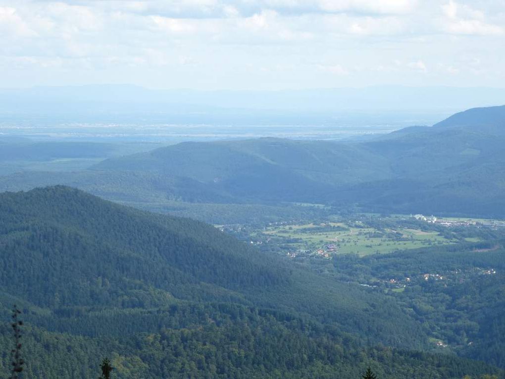 Schneeberg, Wangenbourg (France, Vosges Centrales). Date : août 2014.