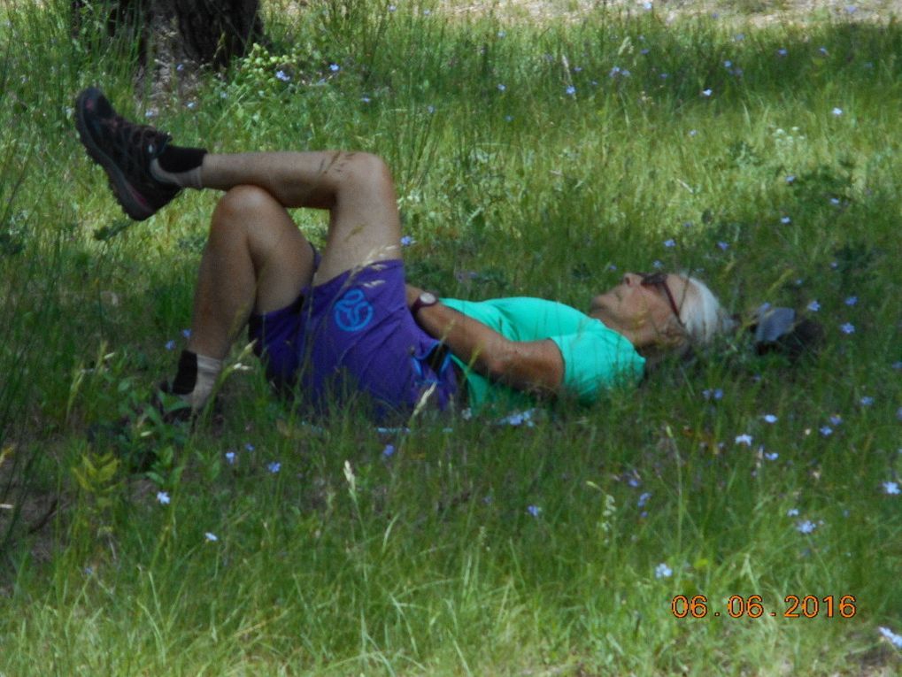 De Nans les Pins, la Mantelette, les Sources de l’Huveaune