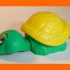 K03-01 - Tortue