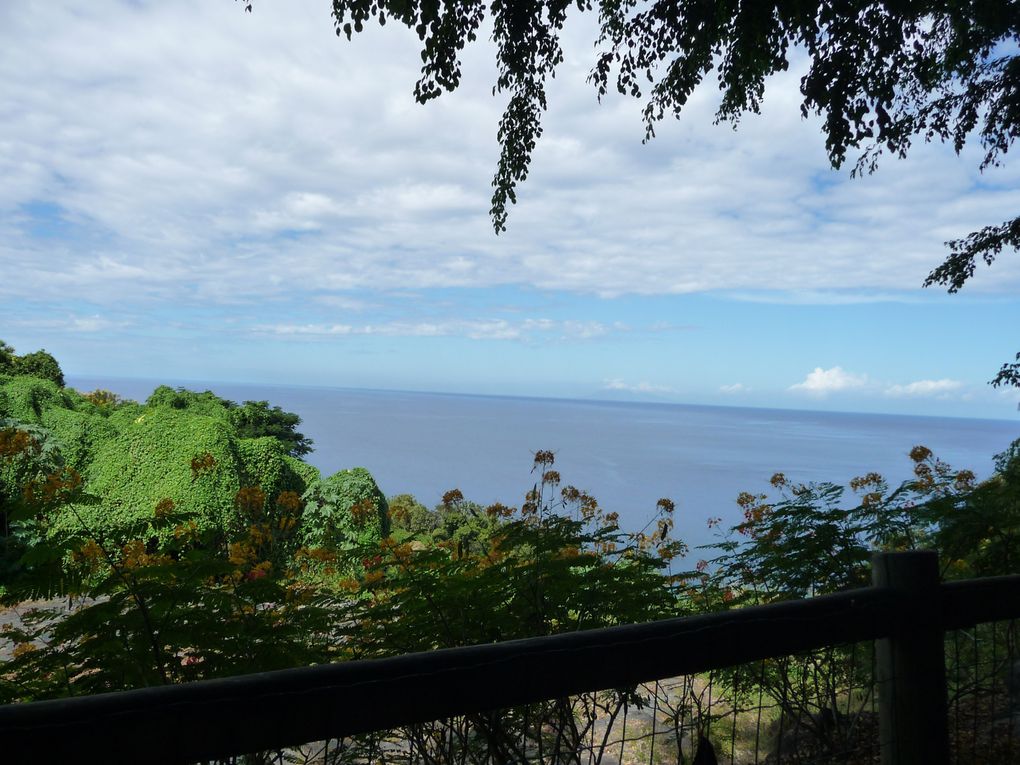 Le jardin botanique de Deshaies - Guadeloupe