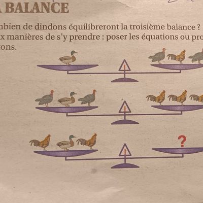 La réponse à la petite énigme de novembre 2024 - les volailles...