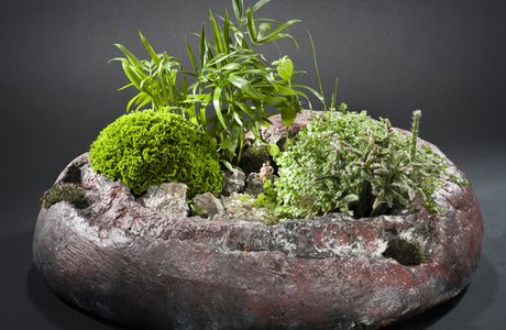 mini jardin japonais dans roche