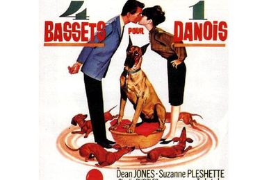 Quatre Bassets pour Un Danois