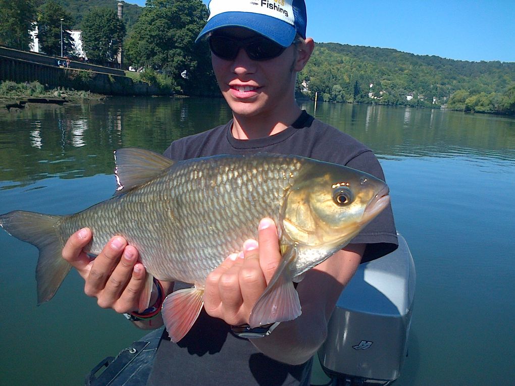 2012 est déja commencer et les fish ne tardent pas à montrer leurs nageoires